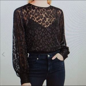 🌻Nwt Express black top